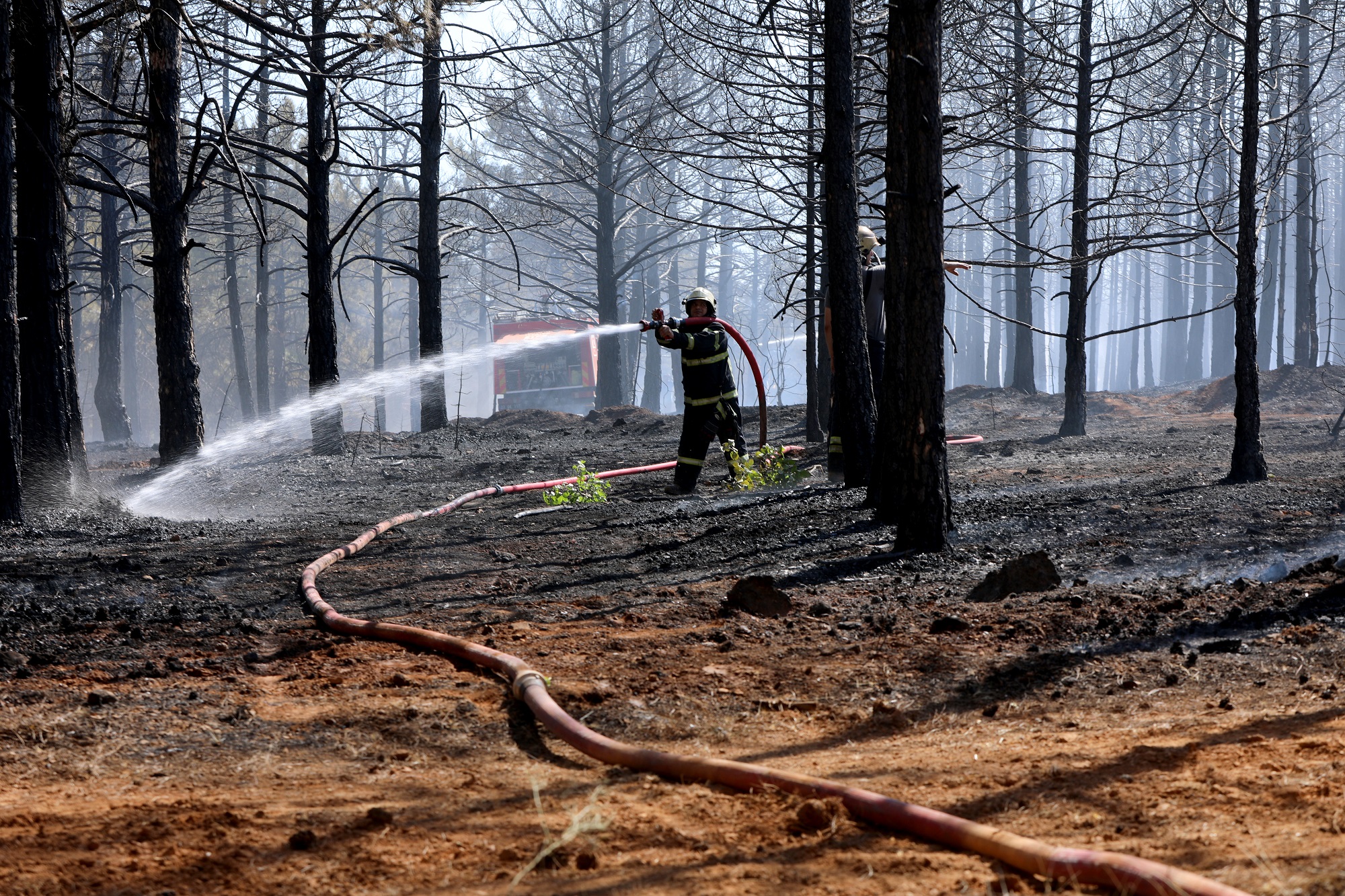 Büyükşehir itfaiye ekiplerinin erken müdahalesi yangının büyümesini önledi