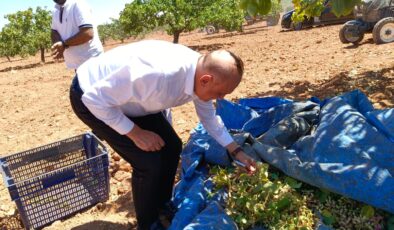 MİLLETVEKİLİ MERİÇ’TEN STOK TEPKİSİ