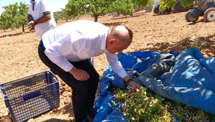 MİLLETVEKİLİ MERİÇ’TEN STOK TEPKİSİ