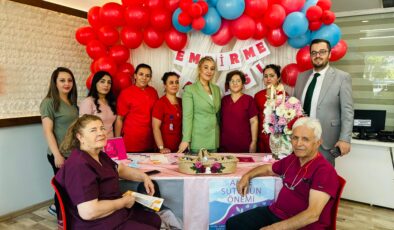 ANNE SÜTÜ, ANNE VE BEBEĞİ HASTALIKTAN KORUYOR