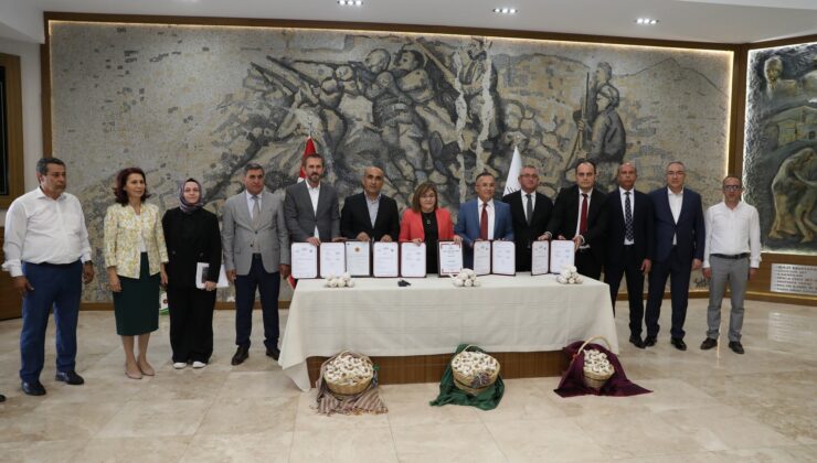 ARABAN SARIMSAĞI İÇİN İŞLEME VE PAKETLEME TESİSİ KURULUYOR