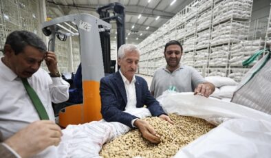 ŞAHİNBEY BELEDİYESİ FISTIK ALIMINA BAŞLADI