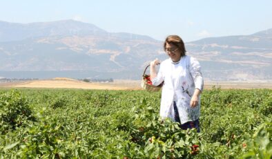 BÜYÜKŞEHİR’DEN BİBER ÜRETİCİSİNE DESTEK: ÇİFTÇİLER NEFES ALDI