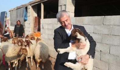 ŞAHİNBEY BELEDİYESİ’NİN DESTEKLERİ İLE HAYVAN YETİŞTİRİCİLİĞİ ARTTI