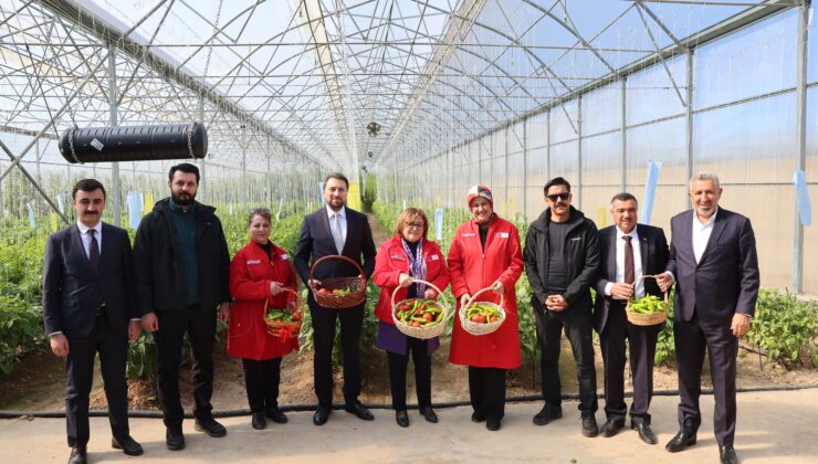 BAŞKAN ŞAHİN CERABLUS’TA EĞİTİMDEN TARIMA BİRÇOK ALANDA İNCELEMELERDE BULUNDU