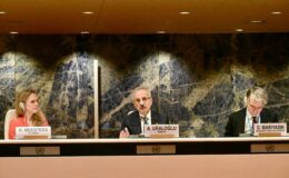 BİRLEŞMİŞ MİLLETLER’DE ULAŞTIRMA ZİRVESİ