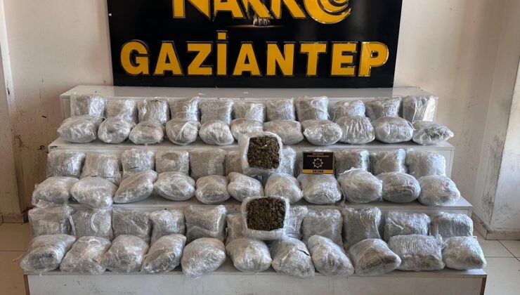 narkotik Suçlarla mücadele Şube müdürlüğü