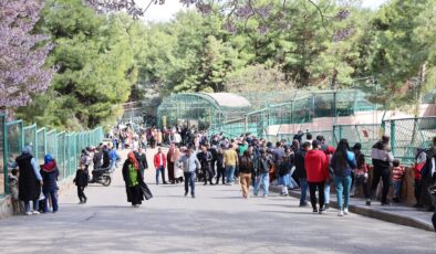 GAZİANTEP DOĞAL YAŞAM PARKI’NA “AFRİKA SAVANI” VE “YIRTICI ADASI” GELİYOR