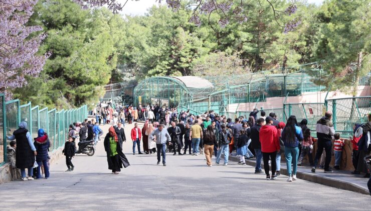 GAZİANTEP DOĞAL YAŞAM PARKI’NA “AFRİKA SAVANI” VE “YIRTICI ADASI” GELİYOR