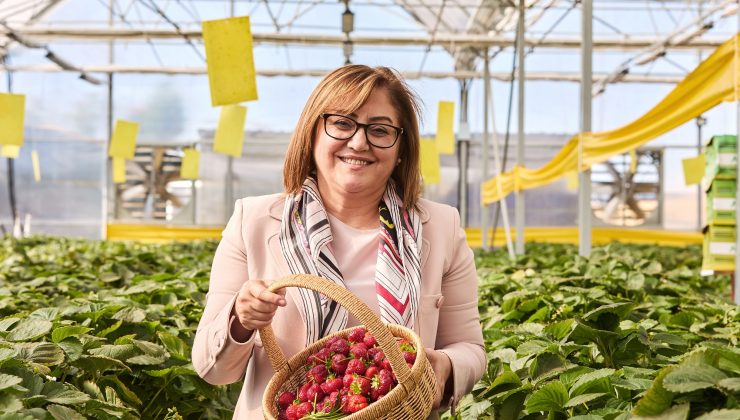 HEM ÇEVREYİ KORUYAN HEM EKONOMİYE KATKI SAĞLAYAN PROJE: MEKANİK BİYOLOJİK AYRIŞTIRMA TESİSİ