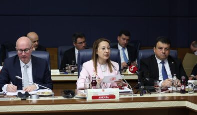 MİLLETVEKİLİ BAKBAK, GDAÜ ÜLKELERİNE TÜRKİYE’NİN YENİLENEBİLİR ENERJİPOTANSİYELİNİ ANLATTI