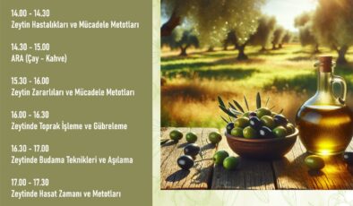 Zeytin Üretimine Bilimsel Dokunuş; ZeytinYetiştiriciliği Semineri Düzenlenecek