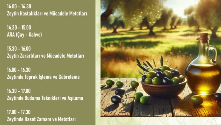 Zeytin Üretimine Bilimsel Dokunuş; ZeytinYetiştiriciliği Semineri Düzenlenecek