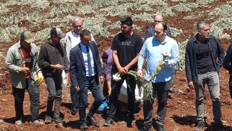 14 Mayıs Dünya Çiftçiler Günü Araban’da Kutlandı