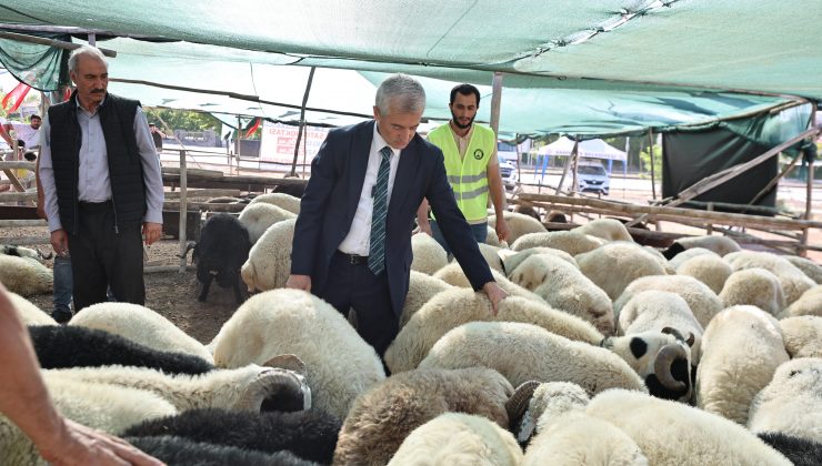 BAŞKAN TAHMAZOĞLU KURBAN FİYATLARINI AÇIKLADI
