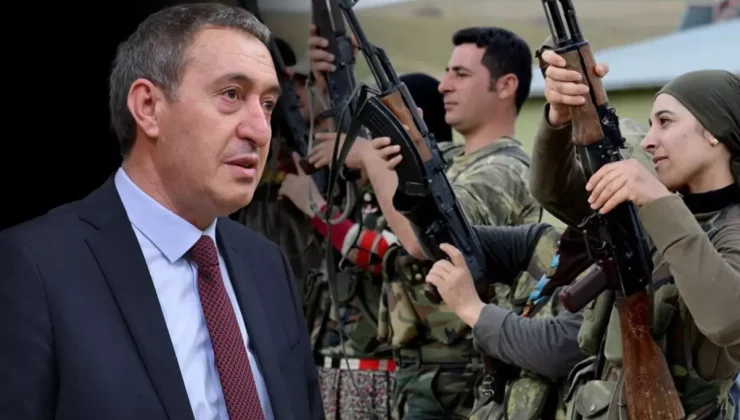 DEM Parti Eş Genel  Başkanı  Bakırhan, PKK’nın silah bırakması sonrası boşa düşecek koruculara iş önerdi