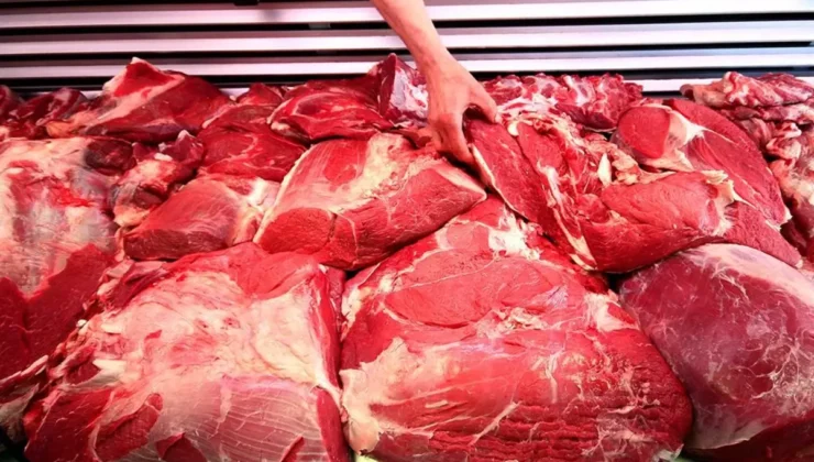 Kıymaya at ve eşek eti karıştıran firma, belediyeye ve devlet hastanesine yemek veriyormuş