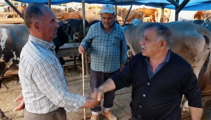 Rakamlar netleşti! İşte kurban fiyatlarının en uygun olduğu 7 ilimiz