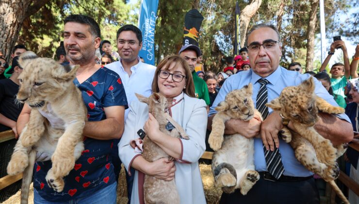 CUMHURBAŞKANI’NA HEDİYE EDİLEN ASLANLARIN ÜÇÜZÜ OLDU