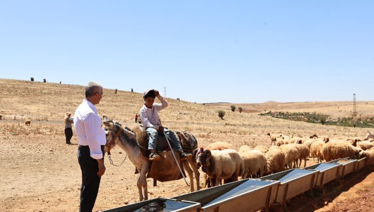 ŞAHİNBEY BELEDİYESİ HAYVAN YETİŞTİRİCİLERİNİN YANINDA