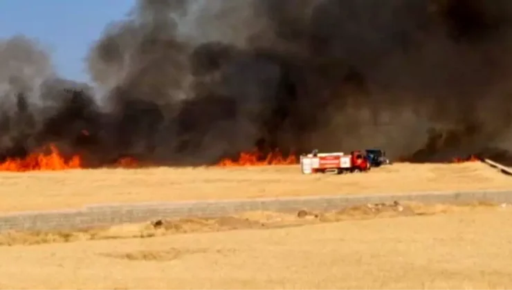Araban da Hasada Hazır 50 Dönüm Buğday Tarlası Yandı.