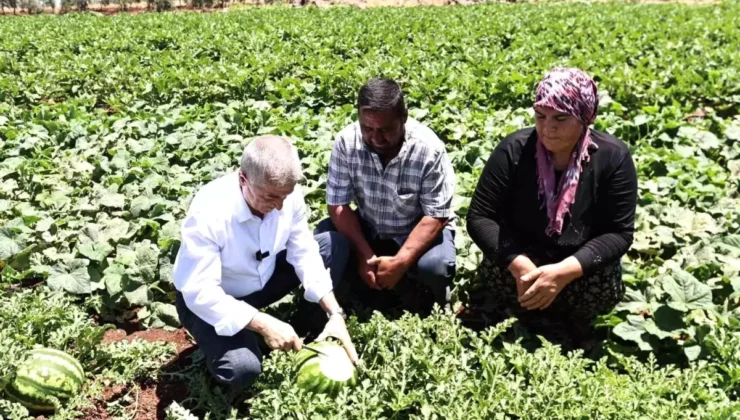 Şahinbey Belediyesi’nden Çiftçilere Fide Desteği