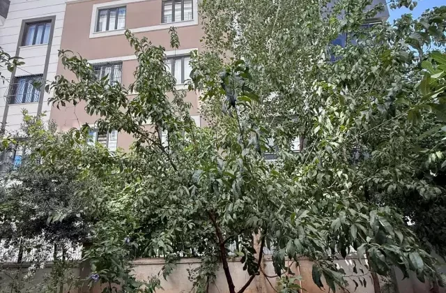 Pencereden düşen 2 aylık hamile kadın hayatını kaybetti