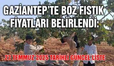 Gaziantep’te Boz Fıstık Fiyatları Belirlendi: