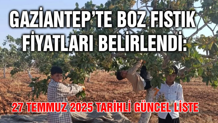 Gaziantep’te Boz Fıstık Fiyatları Belirlendi: