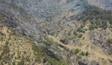Gaziantep’ten Maraş’a Orman Yangınına Destek!