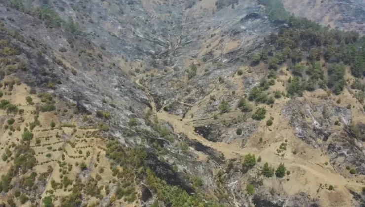 Gaziantep’ten Maraş’a Orman Yangınına Destek!