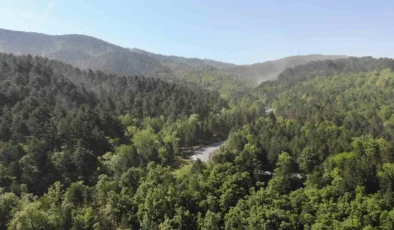 Gaziantep’te Piknik ve Mesire Alanları Girişlere Kapandı: Yasak Ne Zaman Kalkacak?