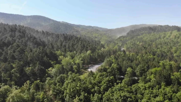 Gaziantep’te Piknik ve Mesire Alanları Girişlere Kapandı: Yasak Ne Zaman Kalkacak?