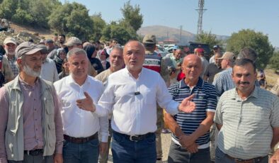 Milletvekili Meriç: “Depremzedenin evine de zeytinine de göz dikmeyin!”