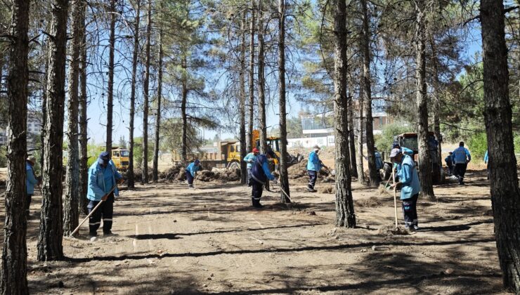 GAZİANTEP BÜYÜKŞEHİR, ORMAN YANGINI RİSKİNE KARŞI TEDBİRLERİNİ ARTIRDI