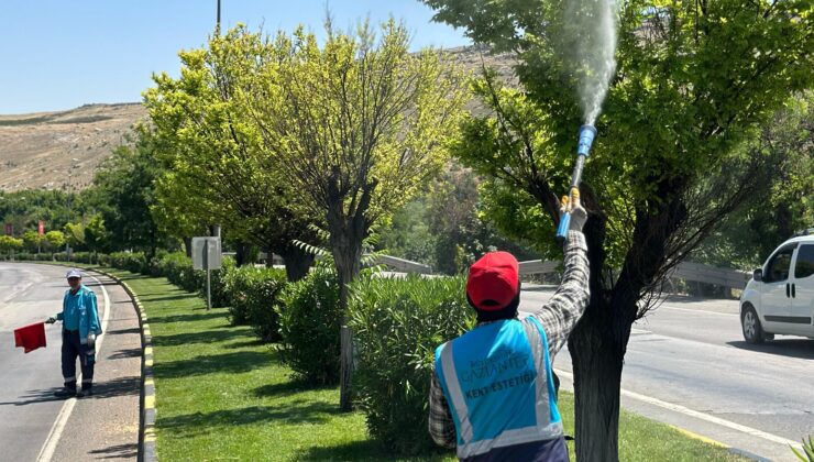 GAZİANTEP BÜYÜKŞEHİR’DEN KENE VE DİĞER ZARARLILARA KARŞI TEDBİR AMAÇLI İLAÇLAMA