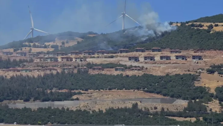 Gaziantep’te Orman Yangını Kontrol Altına Alındı