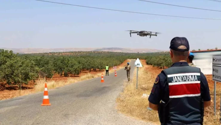 Gaziantep’te Fıstık Hırsızlığını Önlemek İçin Güvenlik Önlemleri