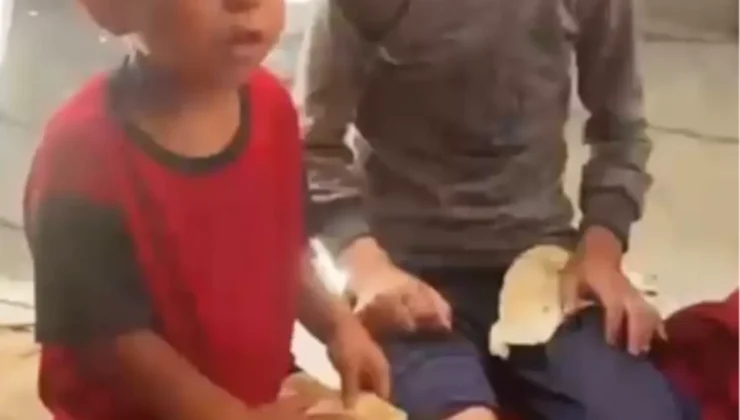 Gazze’de Et Sevinci: Türk Bağışlarıyla