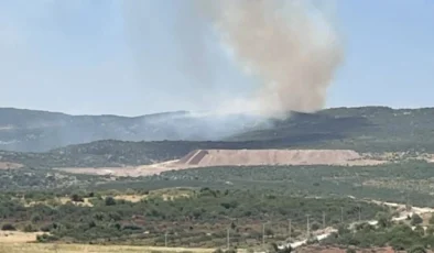 Gaziantep’te Ormanlık Alanda Alevler Yükseldi!