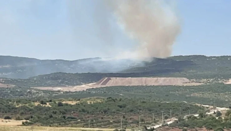 Gaziantep’te Ormanlık Alanda Alevler Yükseldi!