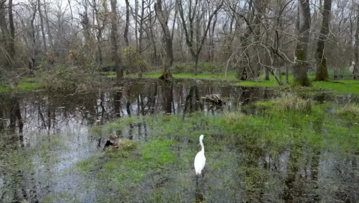 Küresel İklim Krizi: 1 Milyar İnsan Göç Riskiyle Karşı Karşıya