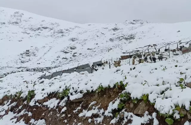 Üç ilimize temmuz ayında lapa lapa kar yağdı
