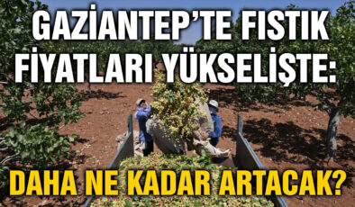 Gaziantep’te Fıstık Fiyatları Yükselişte: Daha Ne Kadar Artacak?