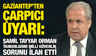 Gaziantep’ten Çarpıcı Uyarı: Şamil Tayyar Orman Yangınlarını Milli Güvenlik Sorunu İlan Etti
