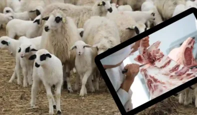 Gaziantep’te Et Fiyatı İsyanı: “Kesim İçin Koyun Yok” İddiası Fiyatı Uçuruyor