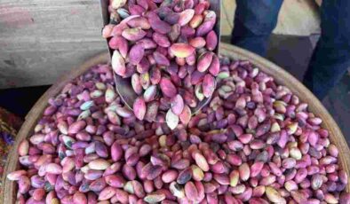 GTB’den Antep Fıstığı Fiyatlarıyla İlgili Önemli Açıklama