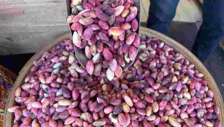 GTB’den Antep Fıstığı Fiyatlarıyla İlgili Önemli Açıklama