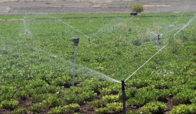 GAZİANTEP BÜYÜKŞEHİR, AKILLI SULAMA SİSTEMLERİNİ NURDAĞI VE İSLAHİYE’DE HAYATA GEÇİRDİ