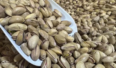 Düğmeye basıldı: Fıstık için sıkı denetim